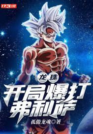 龙珠开局暴打拉蒂兹
