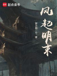 风起明末 作者罗小明