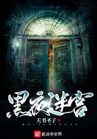 黑夜迷宫什么意思