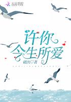 一生所爱全文免费阅读