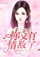 苏少他又a又苏