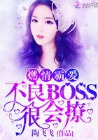 燃情霸爱:不良BOSS,很会撩