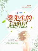 季先生的启明星(军帝隐婚:重生全能天后)