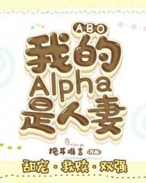 ABO:我的Alpha是人妻