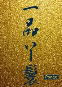 重生之一品丫鬟